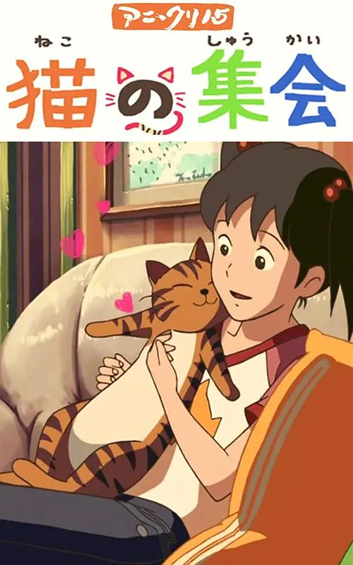 亚洲精品视频观看